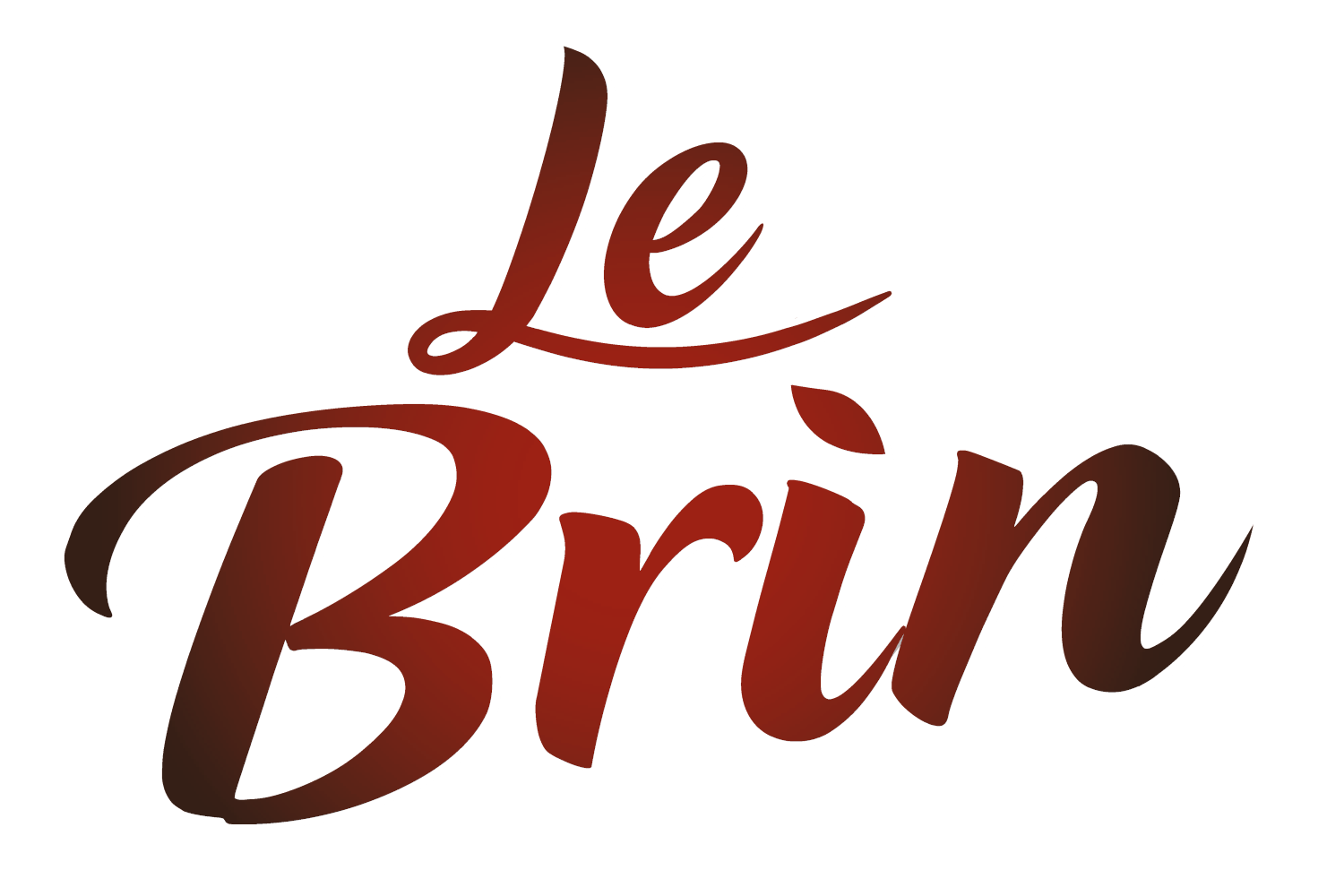 Logo - Le Brin
